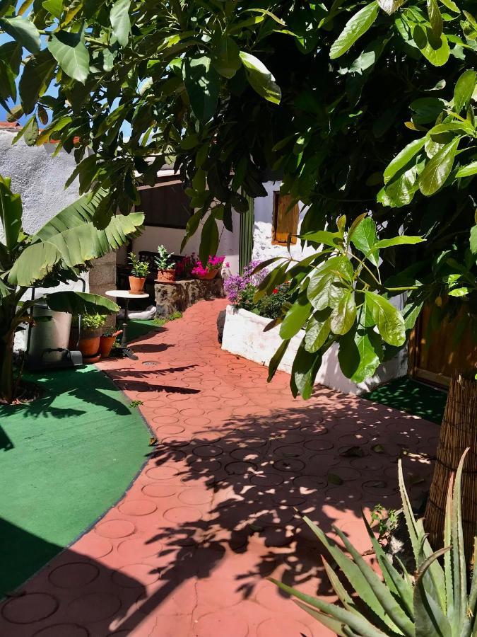 Finca Casa Madera 1 Icod De Los Vinos Exterior photo